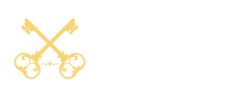 VIP Airport Service